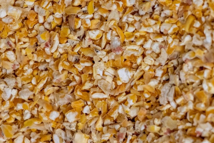 Cracked Corn