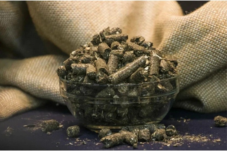 Sunflower meal TGGS