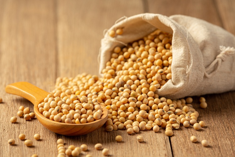 Soybean Sauce and Soybean on Wooden Floor Soy sauce Food nutriti