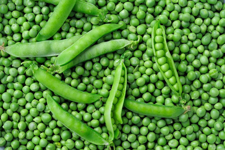 pea
